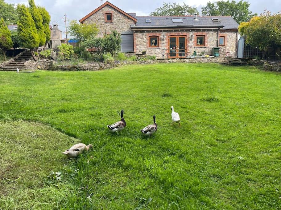 The Barn * Ammanford